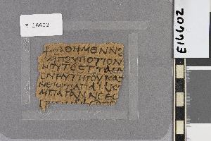 E16602