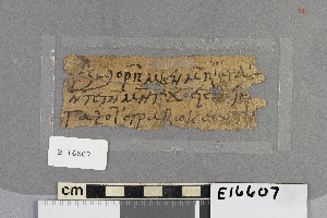 E16607
