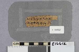 E16612