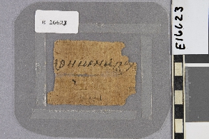 E16623