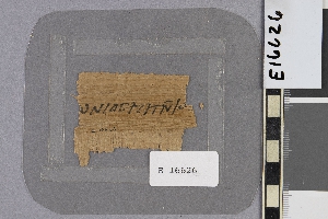 E16626
