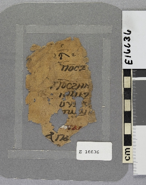 E16636