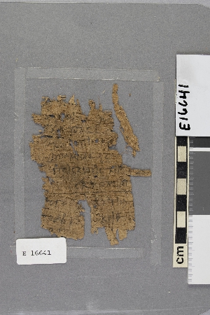 E16641
