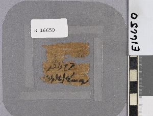 E16650