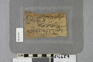 E16659