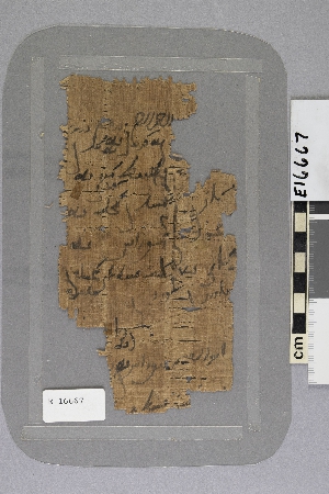 E16667