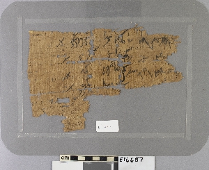 E16687