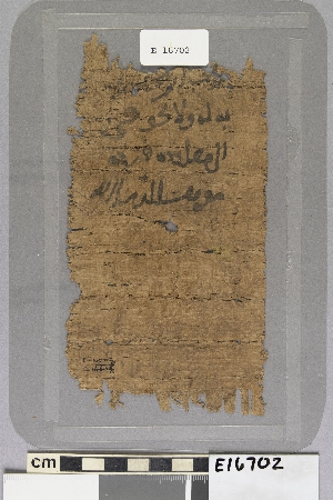 E16702