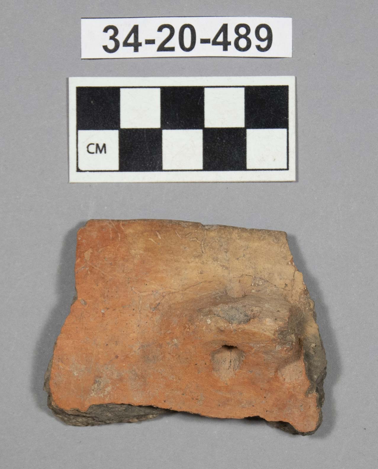 519441