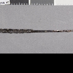 520203