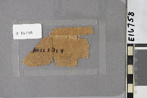 E16758