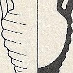 520732