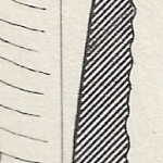 520736