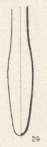 520827