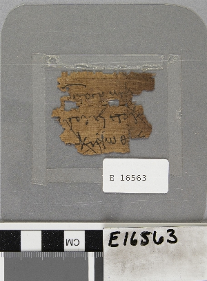 E16563
