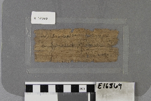 E16569
