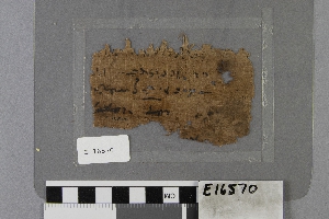 E16570