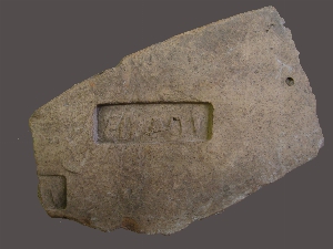 MS2155