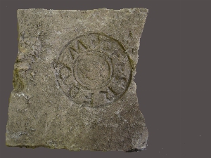 MS2151