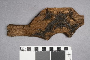 P223