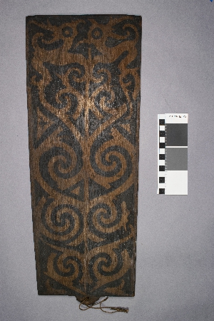 P241