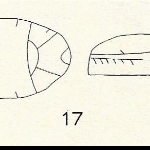 523208