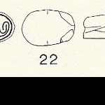 523228