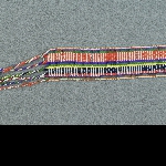 524004