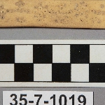 524705
