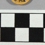 524775