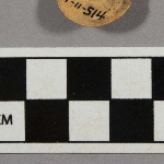 524834