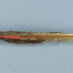 525729