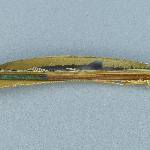 525730