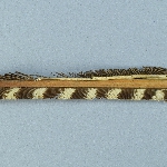 525742