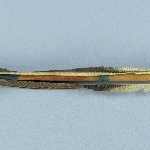 525803