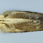 526812