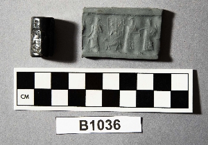 B1036