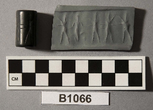 B1066