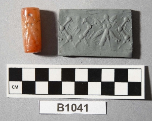 B1041