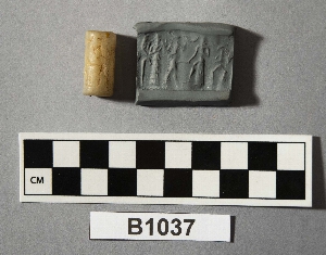 B1037