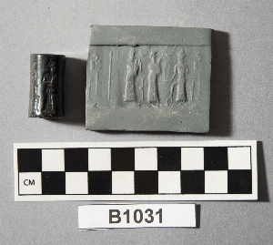 B1031