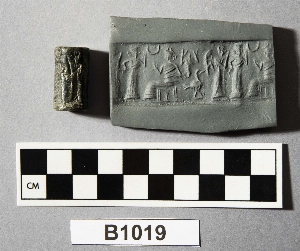 B1019