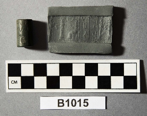 B1015