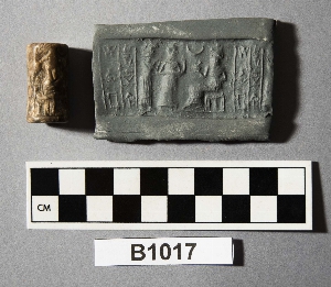 B1017