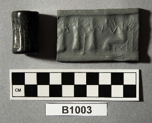 B1003