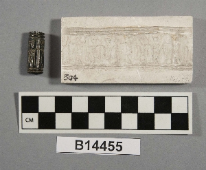 B14455