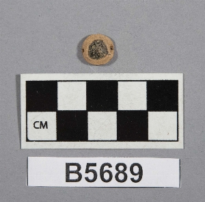 B5689