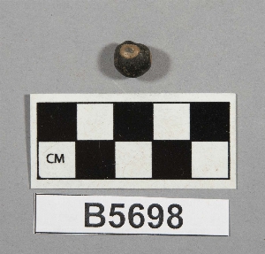 B5698