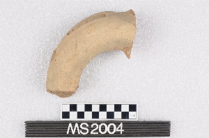 MS2004