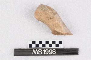 MS1998